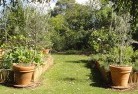 Mintovegetable-gardens-3.jpg; ?>